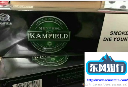 免费开店的电商平台什么外烟劲儿大又好抽一点发展历程图片