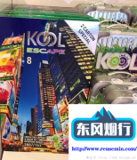 海南免税官方商城入口-国外烟花