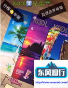 海淘网站-花园户外烟灰缸设计图