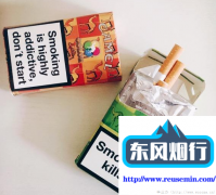 外烟代购网app-锅炉室外烟