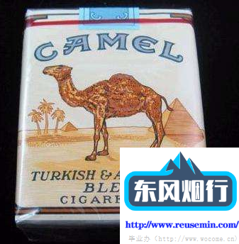 户外烟花跑马灯效果图大全