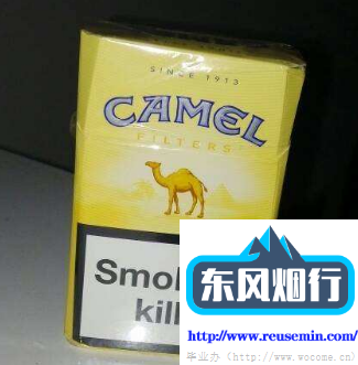 户外烟花灯架子自作图片